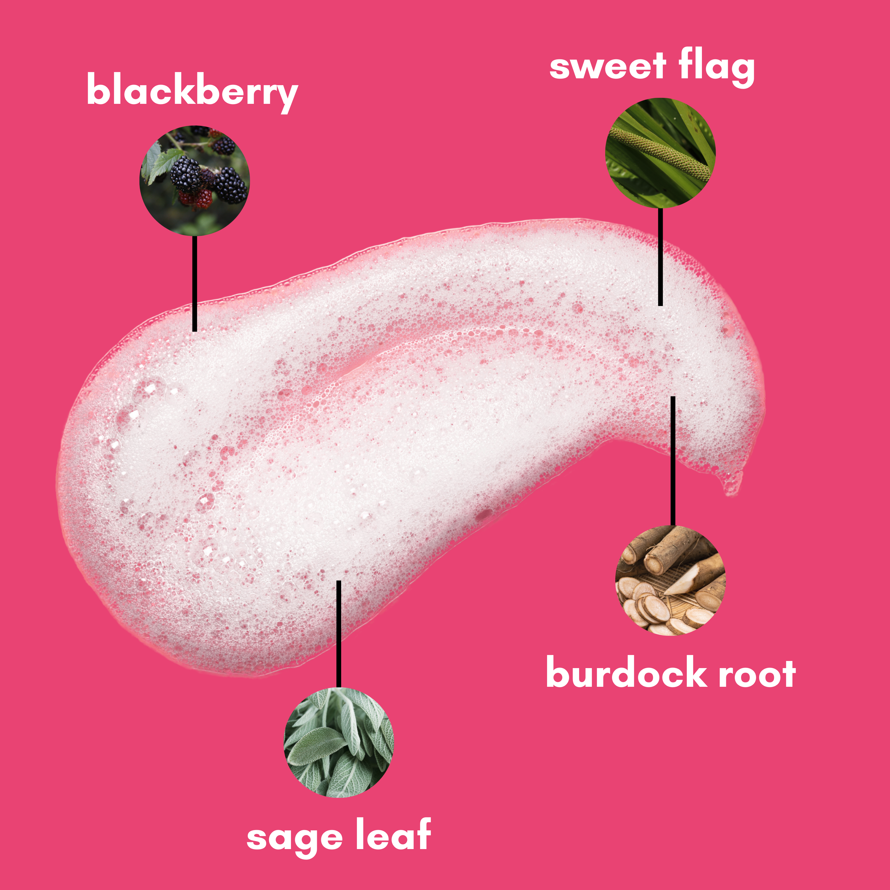 foaming texture berry gentle hydrating cleanser-skinsetgo skincare