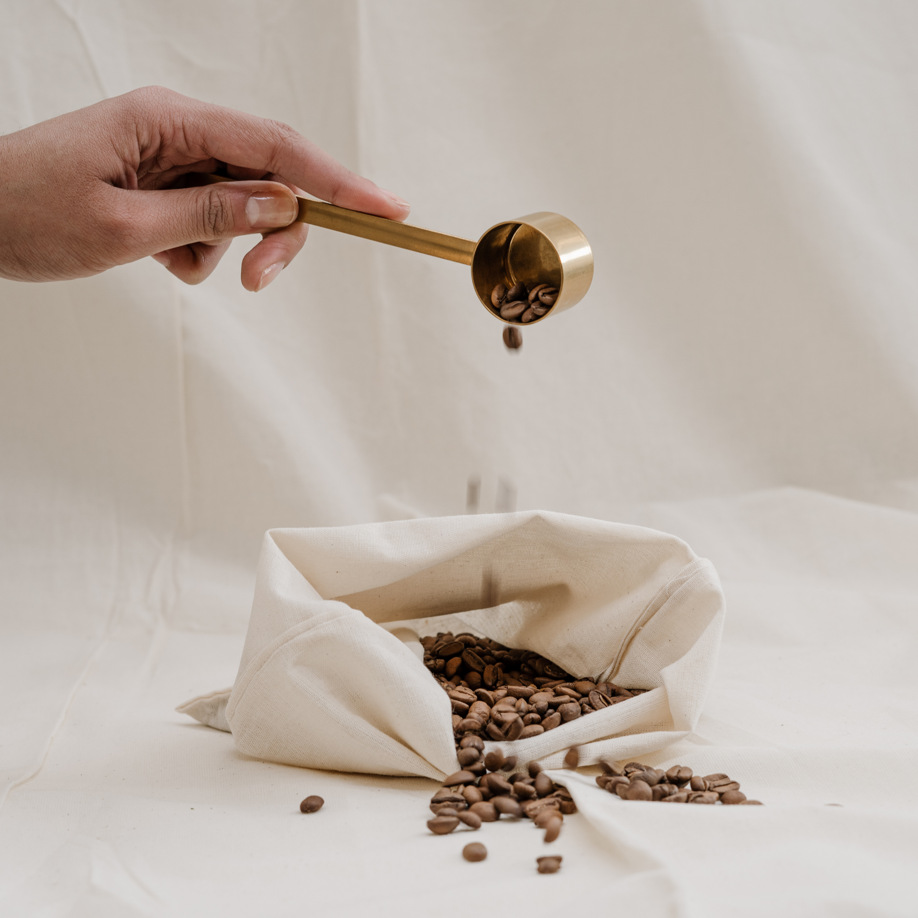 coffee beans being prepared for manufacturing of caffeine eye serum